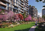 Morizon WP ogłoszenia | Kawalerka na sprzedaż, 228 m² | 9132