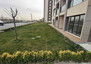 Morizon WP ogłoszenia | Kawalerka na sprzedaż, 87 m² | 9106